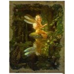 (image for) Fairy Reflections Vintage Fantasy Art