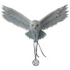 (image for) Awaken Your Magic Owl Figurine by Anne Stokes