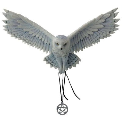 (image for) Awaken Your Magic Owl Figurine by Anne Stokes