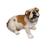 (image for) Bulldog Kitchen Magnet Brown & White Dog Figurine