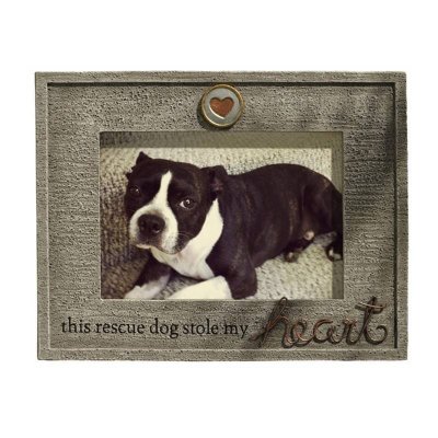 (image for) Rescue Dog Stole My Heart Pet Photo Frame