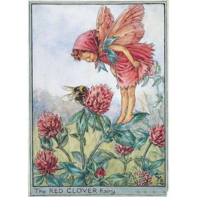 (image for) Red Clover Flower Fairy Fantasy Art by Cicely Mary Barker