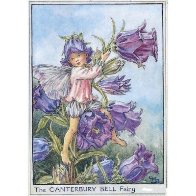 (image for) Canterbury Bell Flower Fairy Fantasy Art by Cicely Mary Barker