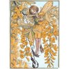 (image for) Laburnum Flower Fairy Fantasy Art by Cicely Mary Barker