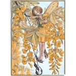 (image for) Laburnum Flower Fairy Fantasy Art by Cicely Mary Barker