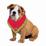 (image for) Bandanna Dog Christmas Costume Large