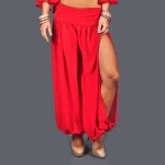 (image for) Harem Pants Belly Dance Costume