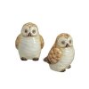 (image for) Owl Figurine Salt & Pepper Set from Andrea by Sadek