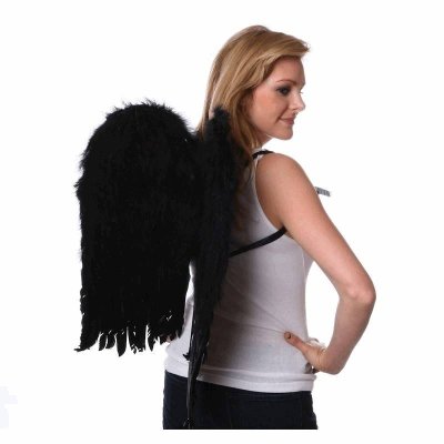 (image for) Black Feather Wings 23.5 Inches Tall