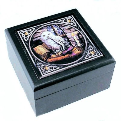 (image for) Owl Jewelry Box by Anne Stokes