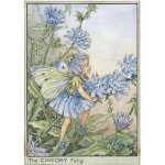 (image for) Chicory Flower Fairy Fantasy Art by Cicely Mary Barker