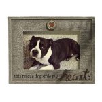 (image for) Rescue Dog Stole My Heart Pet Photo Frame