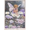(image for) Candytuft Flower Fairy Fantasy Art by Cicely Mary Barker