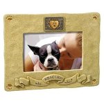 (image for) Who Rescued Who Pet Photo Frame
