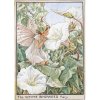 (image for) White Bindweed Flower Fairy Fantasy Art by Cicely Mary Barker
