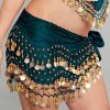 (image for) Gold Coin Hip Scarf Belly Dance Costume
