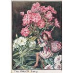 (image for) Phlox Flower Fairy Fantasy Art by Cicely Mary Barker