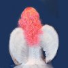 (image for) Wigs Long Hair & Feather Hair