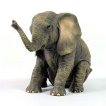 (image for) Baby Elephant Figurine Happy Fellow