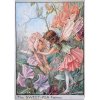 (image for) Sweet Pea Flower Fairy Fantasy Art by Cicely Mary Barker