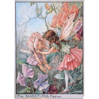(image for) Sweet Pea Flower Fairy Fantasy Art by Cicely Mary Barker