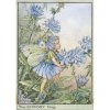 (image for) Chicory Flower Fairy Fantasy Art by Cicely Mary Barker