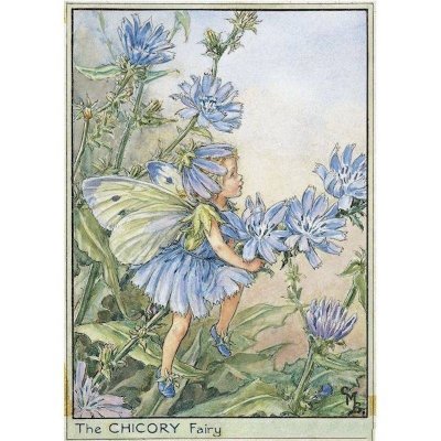 (image for) Chicory Flower Fairy Fantasy Art by Cicely Mary Barker