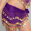 (image for) Gold Coin Hip Scarf Belly Dance Costume