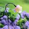 (image for) Street Lamp Miniature Fairy Garden Figurine
