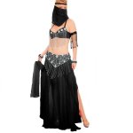 (image for) Black Beauty Adult Belly Dance Costume