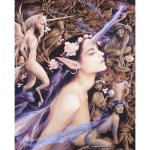 (image for) Unicorn Woman Fairy Fantasy Art by Brian Froud
