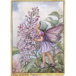 (image for) Lilac Flower Fairy Fantasy Art by Cicely Mary Barker