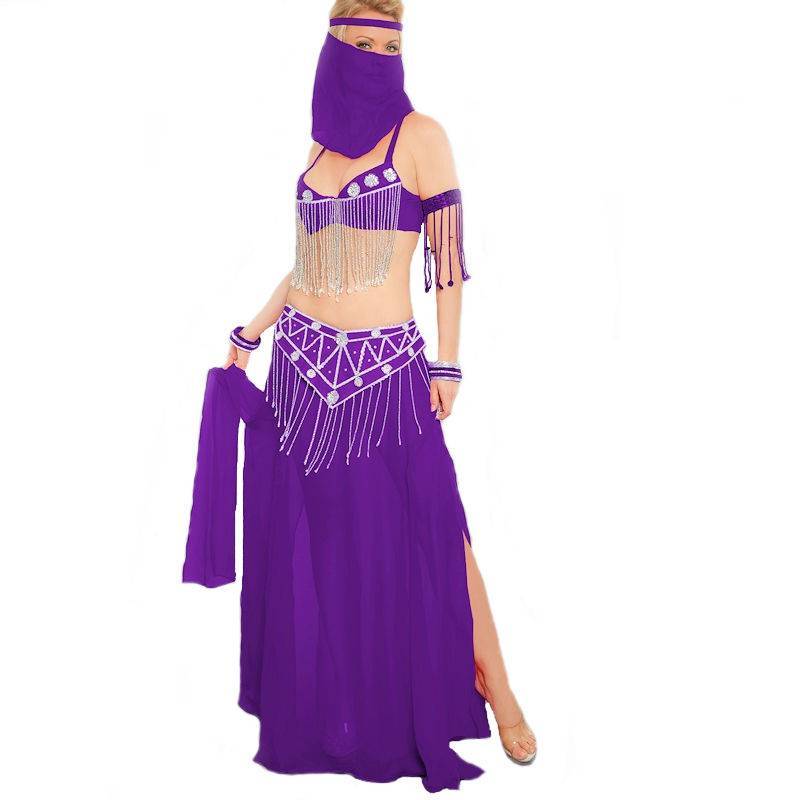 (image for) Purple Passion Adult Belly Dance Costume