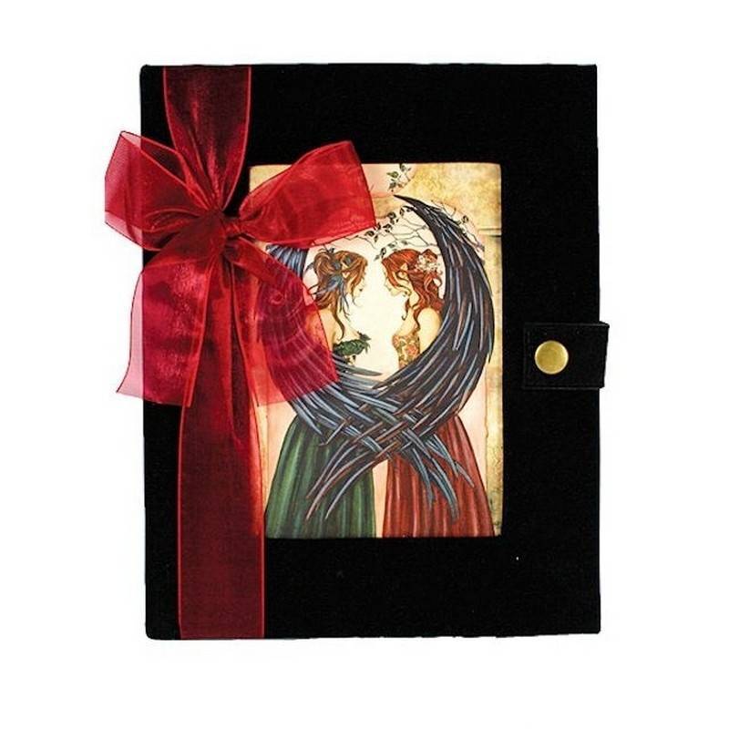 (image for) Sisters Fantasy Art Fairy Journal by Amy Brown