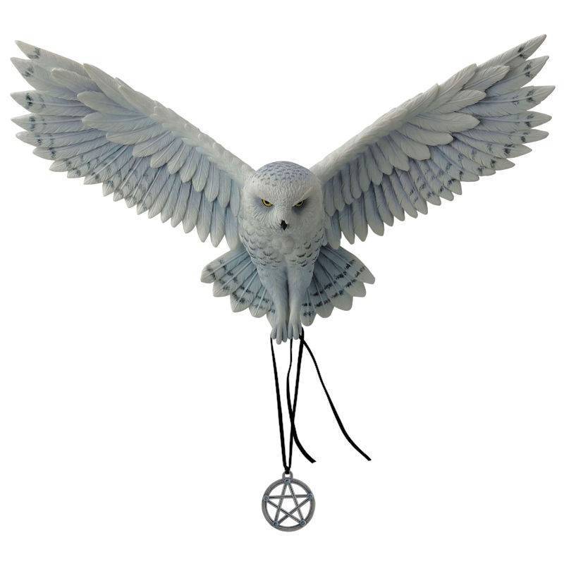 (image for) Awaken Your Magic Owl Figurine by Anne Stokes