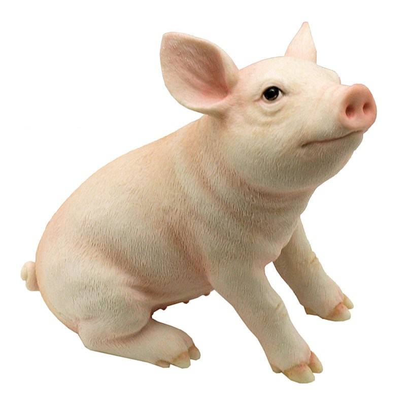 (image for) Baby Arnold Enjoying the Day Pig Figurine